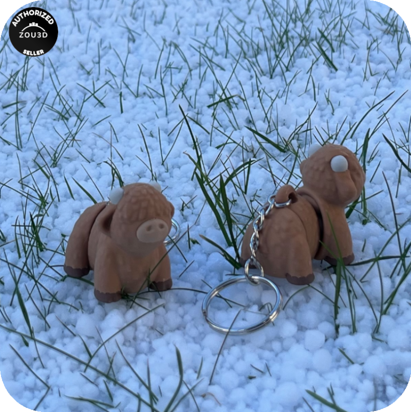 Highland Cow (Heilan Coo)