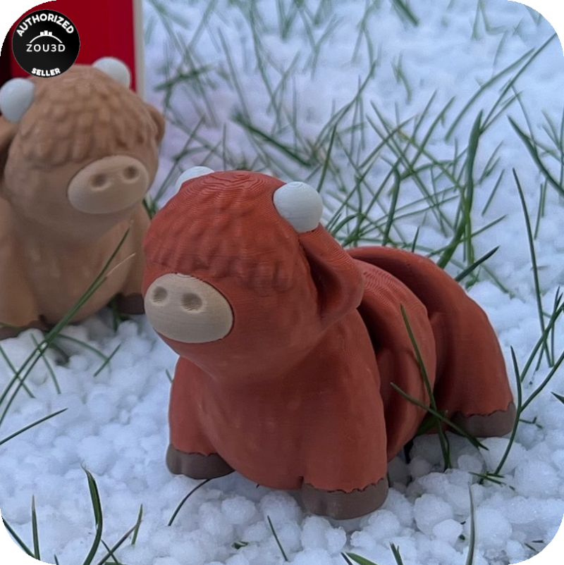 Highland Cow (Heilan Coo)