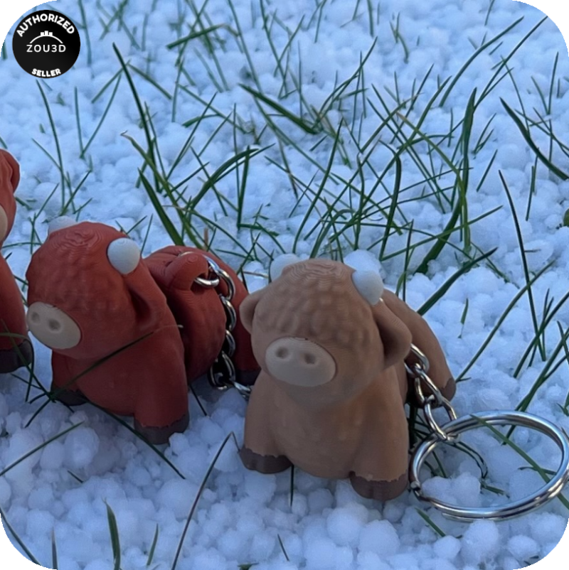 Highland Cow (Heilan Coo)