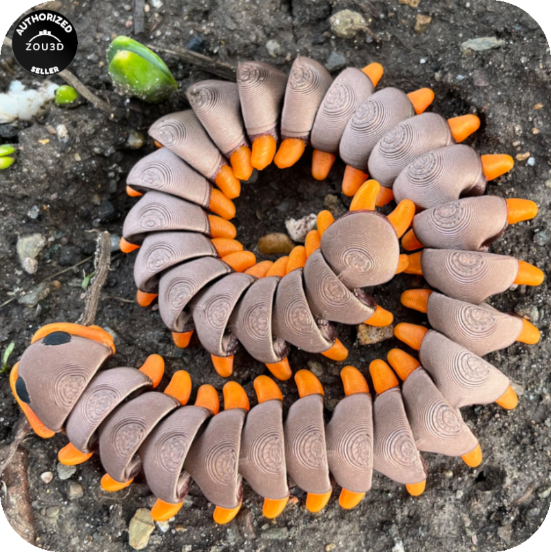 YP3D_Website_Category_ModelCollection_Animals_05527_CentipedeLarge1 Centipede (Large)