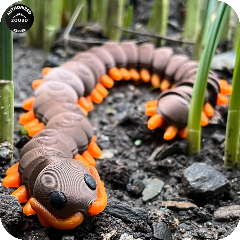 YP3D_Website_Category_ModelCollection_Animals_05527_CentipedeLarge2 Centipede (Large)