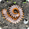YP3D_Website_Category_ModelCollection_Animals_05527_CentipedeLarge3 Centipede (Large)