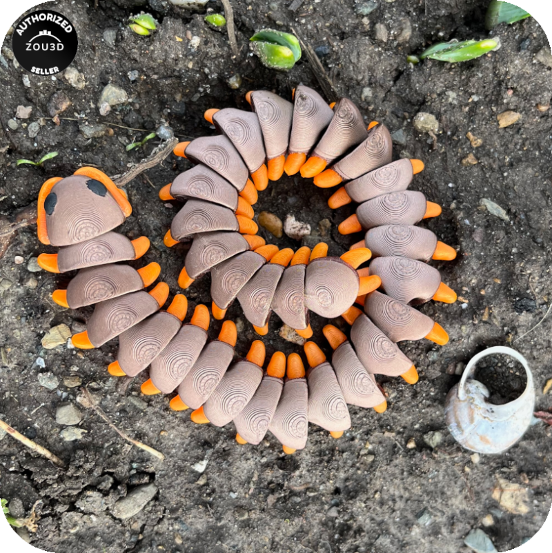 YP3D_Website_Category_ModelCollection_Animals_05527_CentipedeLarge3 Centipede (Large)
