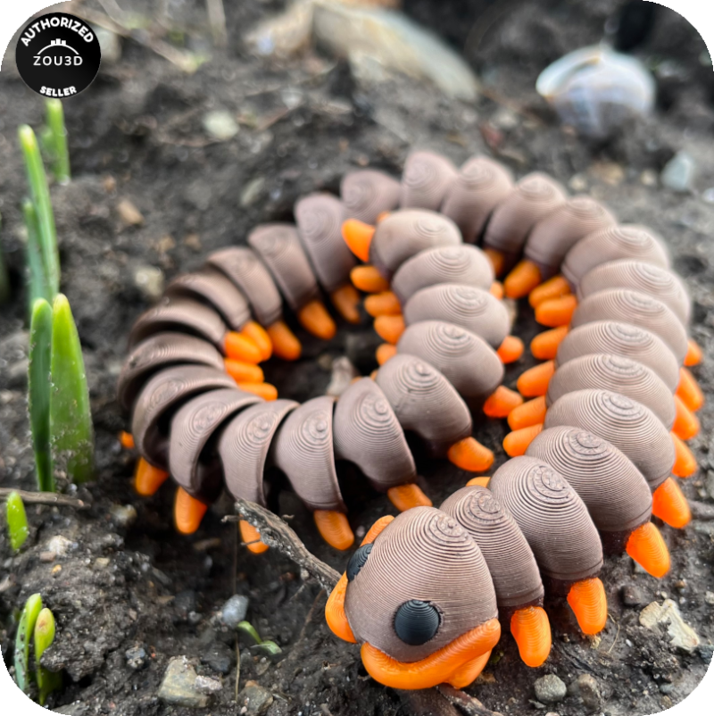 YP3D_Website_Category_ModelCollection_Animals_05527_CentipedeLarge4 Centipede (Large)
