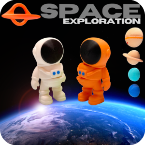 00. Design Your Own Bloom (Rose)