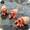 YP3D_Website_Category_ModelCollection_Animals_05544_HermitCrab1 Hermit Crab