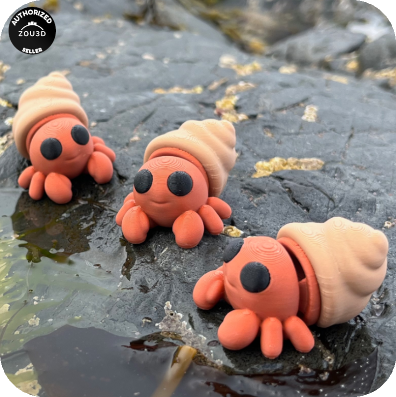 YP3D_Website_Category_ModelCollection_Animals_05544_HermitCrab1 Hermit Crab
