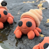 YP3D_Website_Category_ModelCollection_Animals_05544_HermitCrab2 Hermit Crab