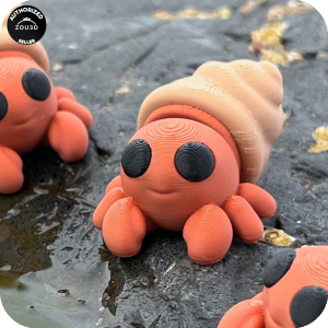 Hermit Crab