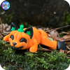 YP3D_Website_Category_ModelCollection_Animals_05546_PumpkinCat Cat in Spooky Pumpkin Costume