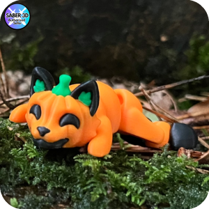 Cat in Spooky Pumpkin Costume